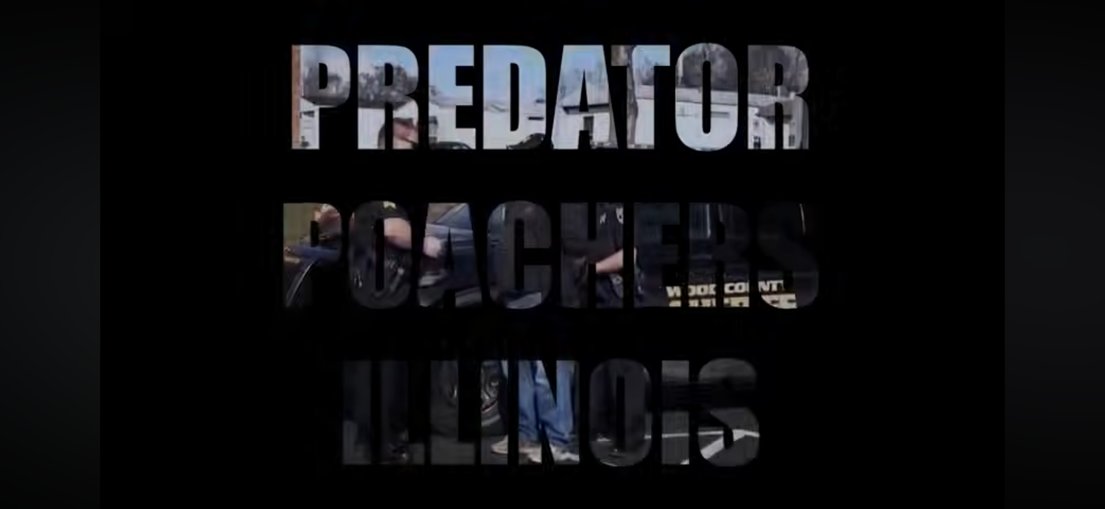 Ppillinois