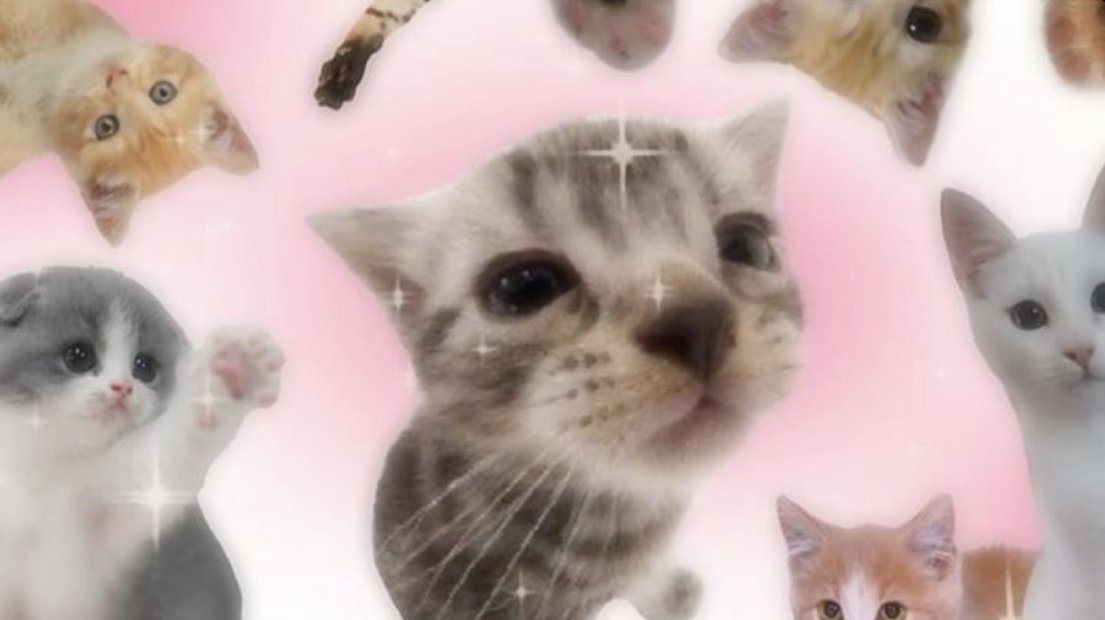 ecchikitti