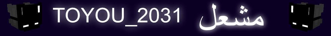 TOYOU_2031