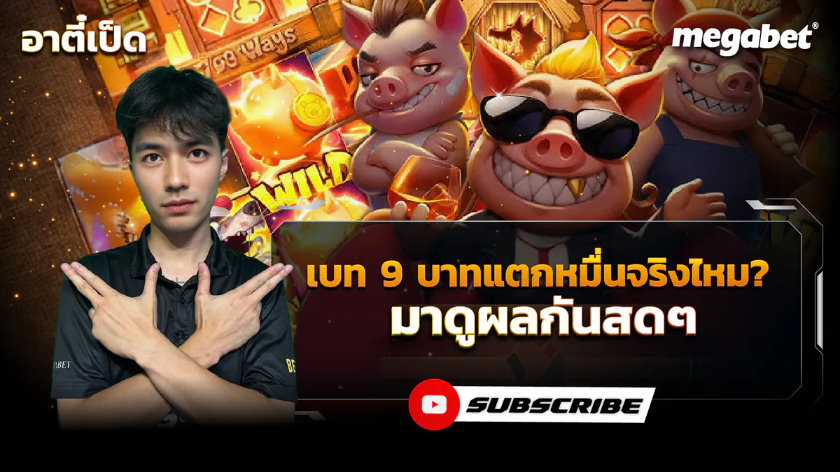 Teeped_Review