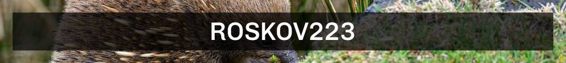 roskov223