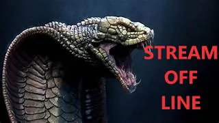 XXSnakeGamesXX
