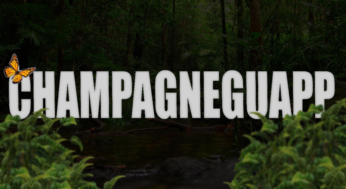 ChampagneGuapp