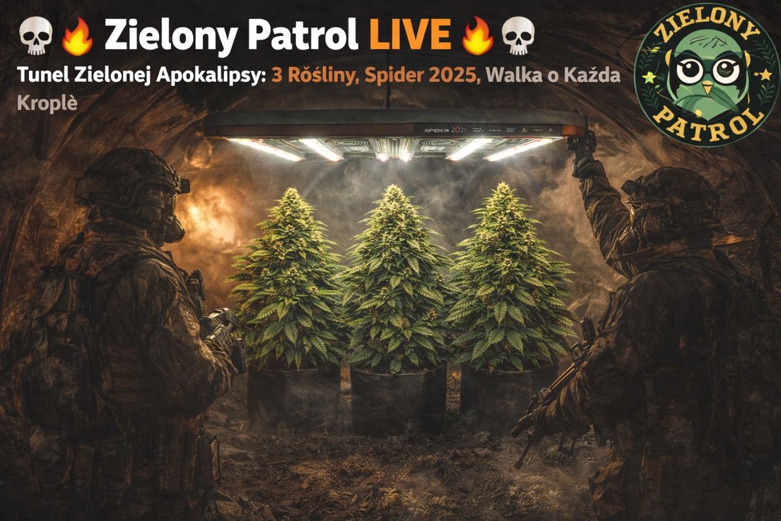 ZielonyPatrol