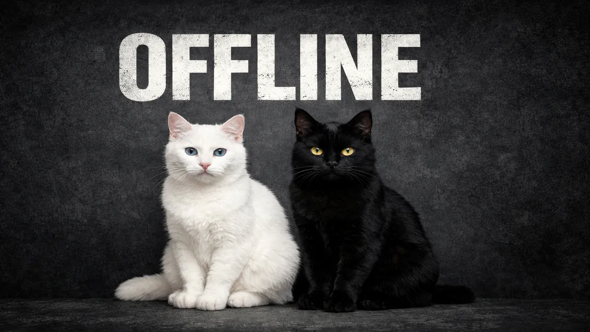 d0fie