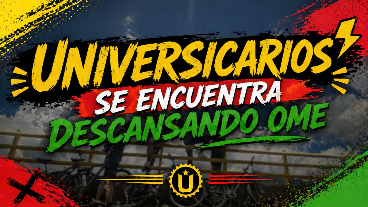 Universicarios