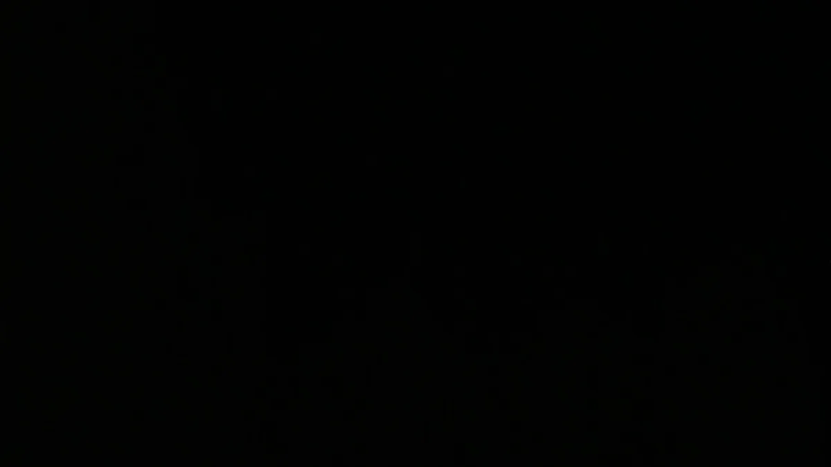 Tonda_1235