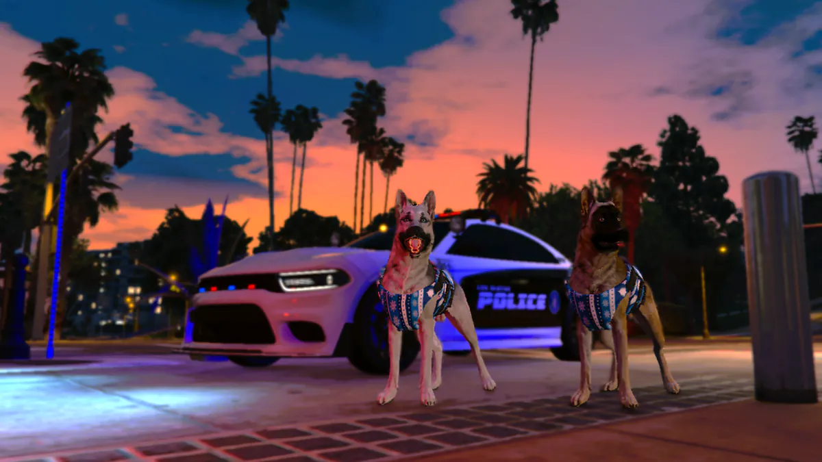 K9_Loki