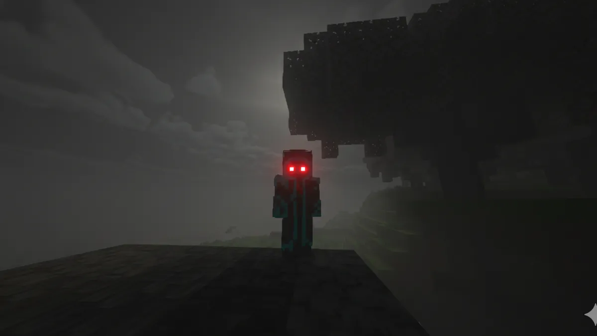 RaiderVID