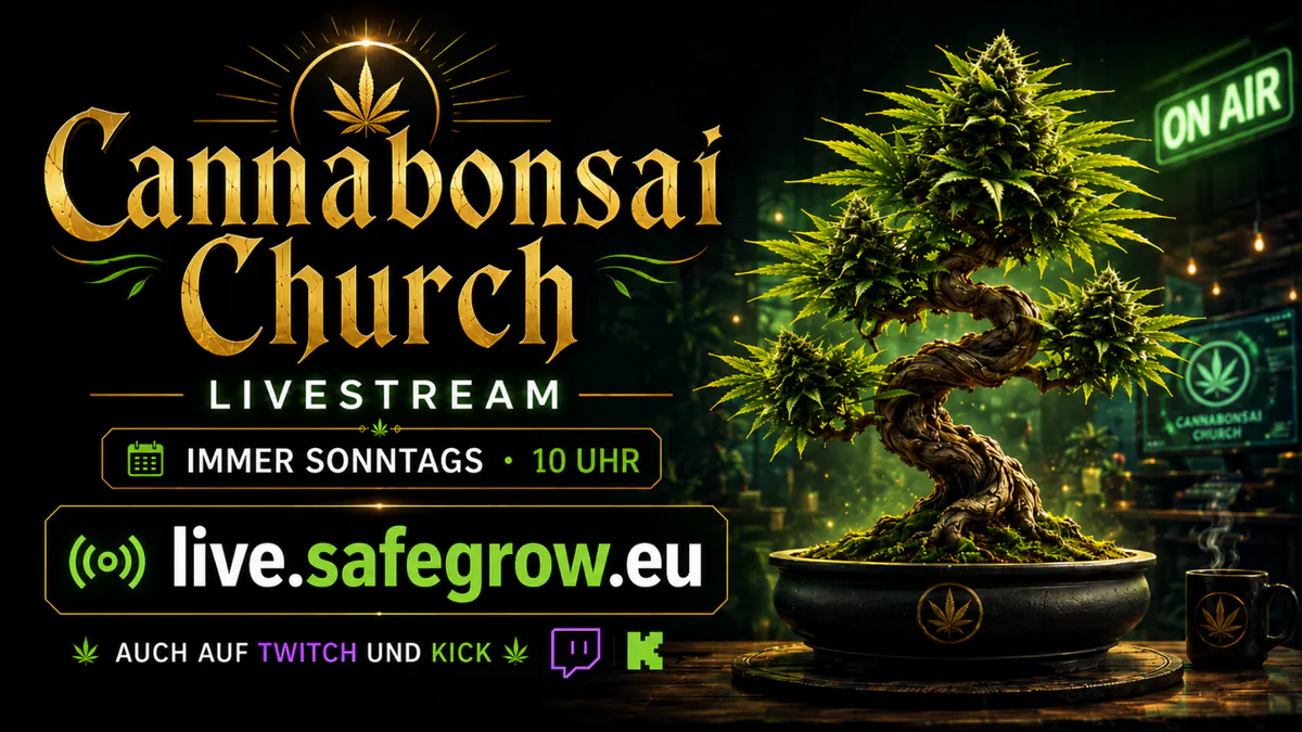 zwergenweedgarten