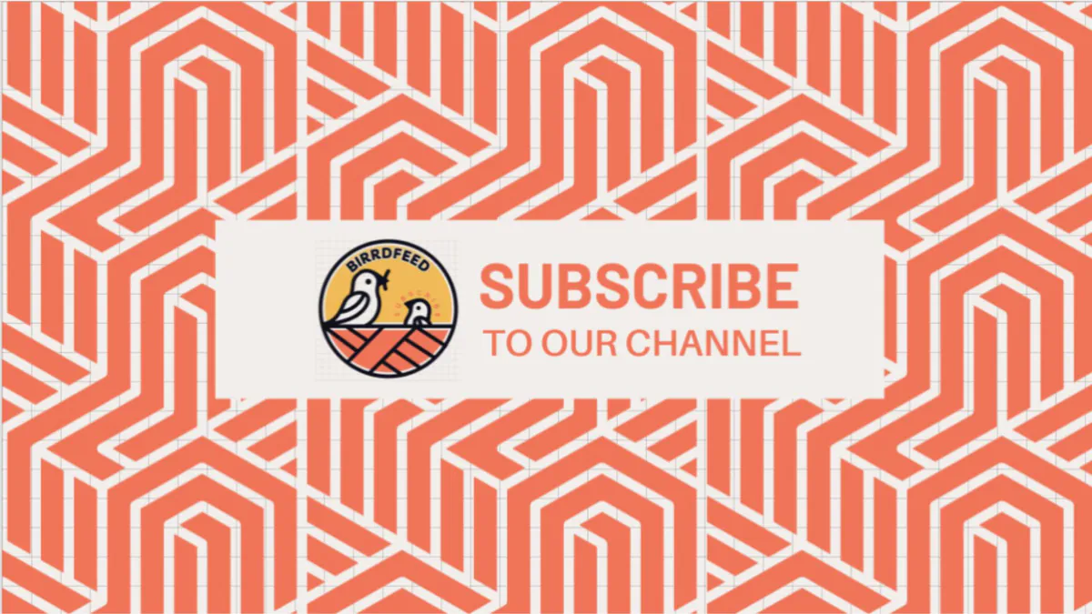 birrdfeed