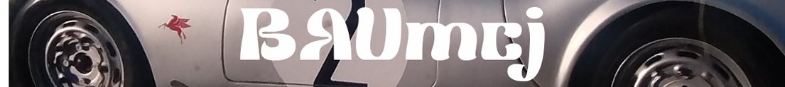 BAUmcj