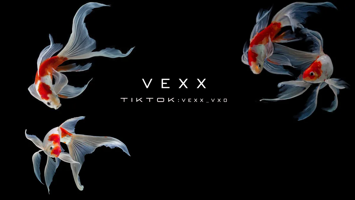 VexX2000