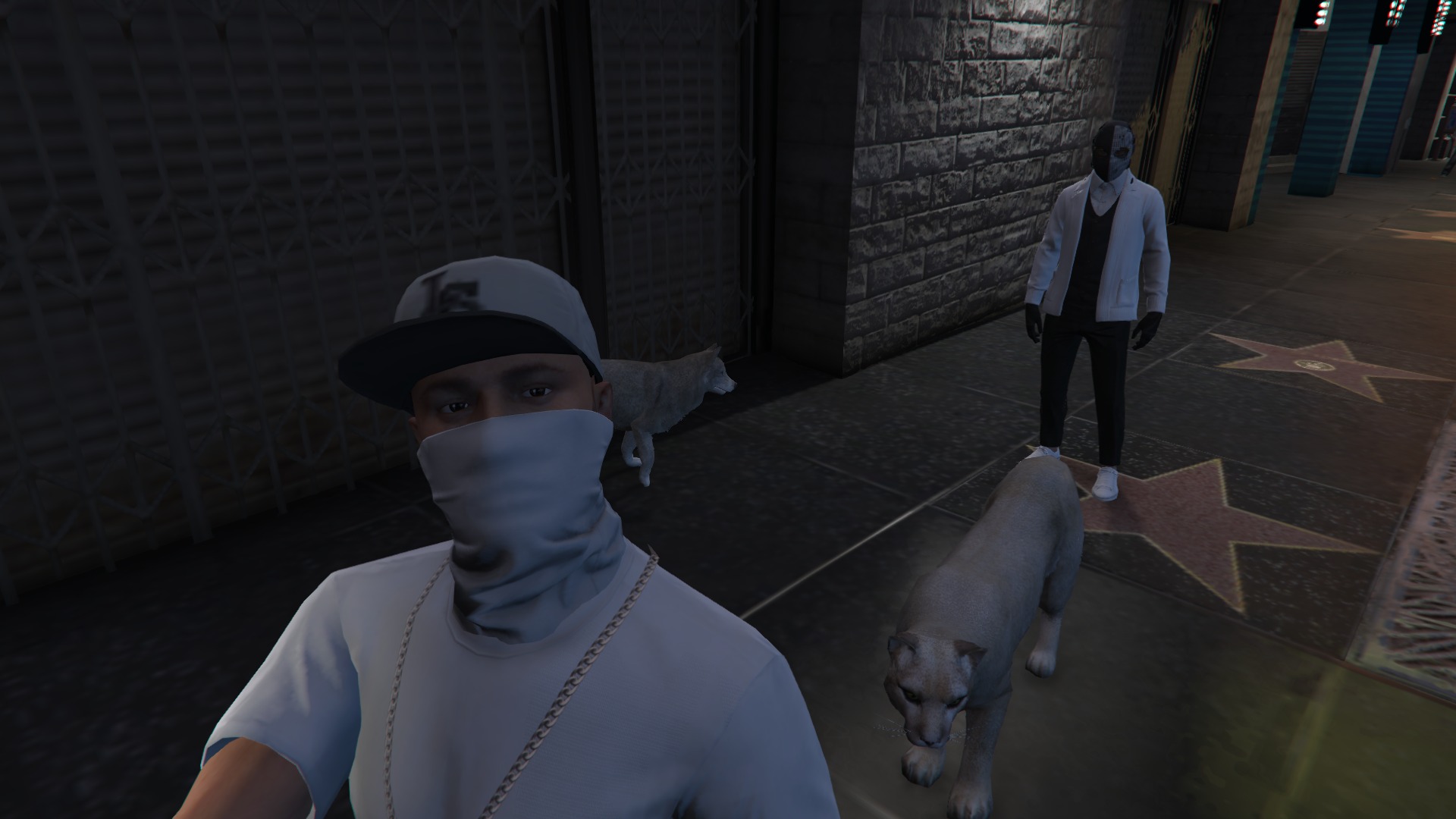 SOLAR_rp Stream - Watch Live on Kick