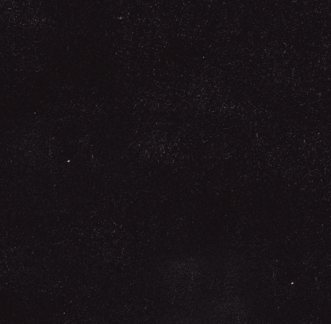 Kick banner for @competitive