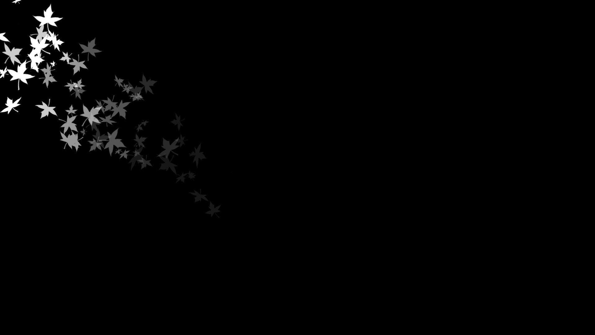 Kick banner for @kimi