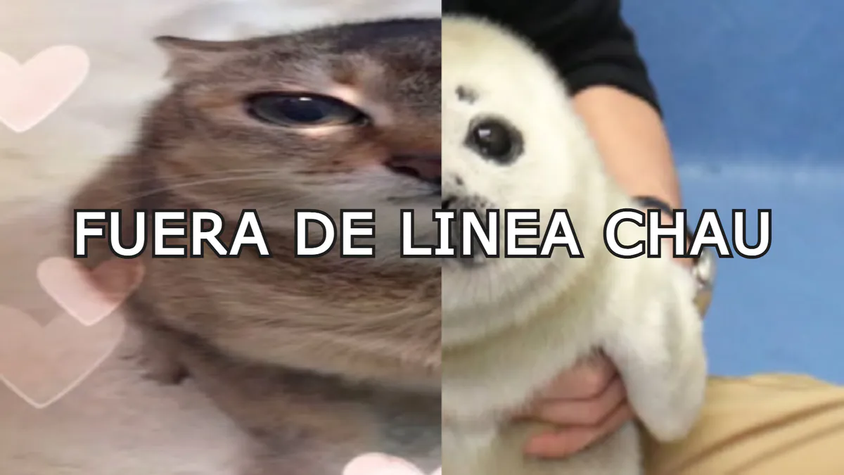 MichuyAli