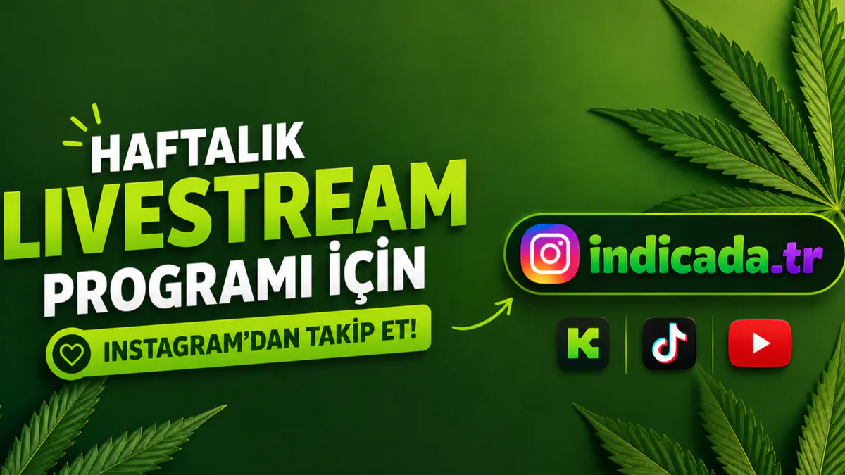 Indicada_tr