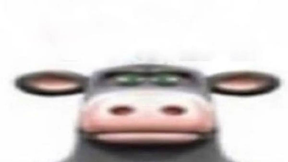 roxoyy