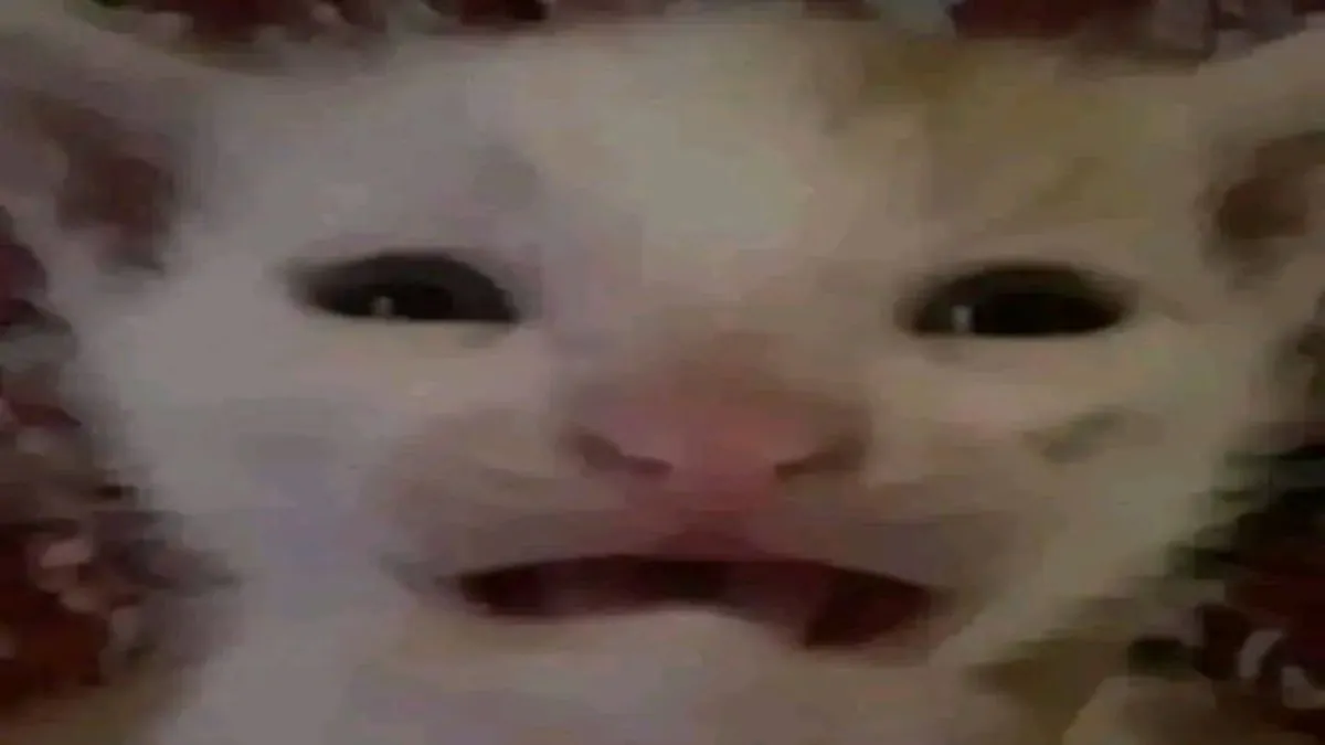 facvndorr