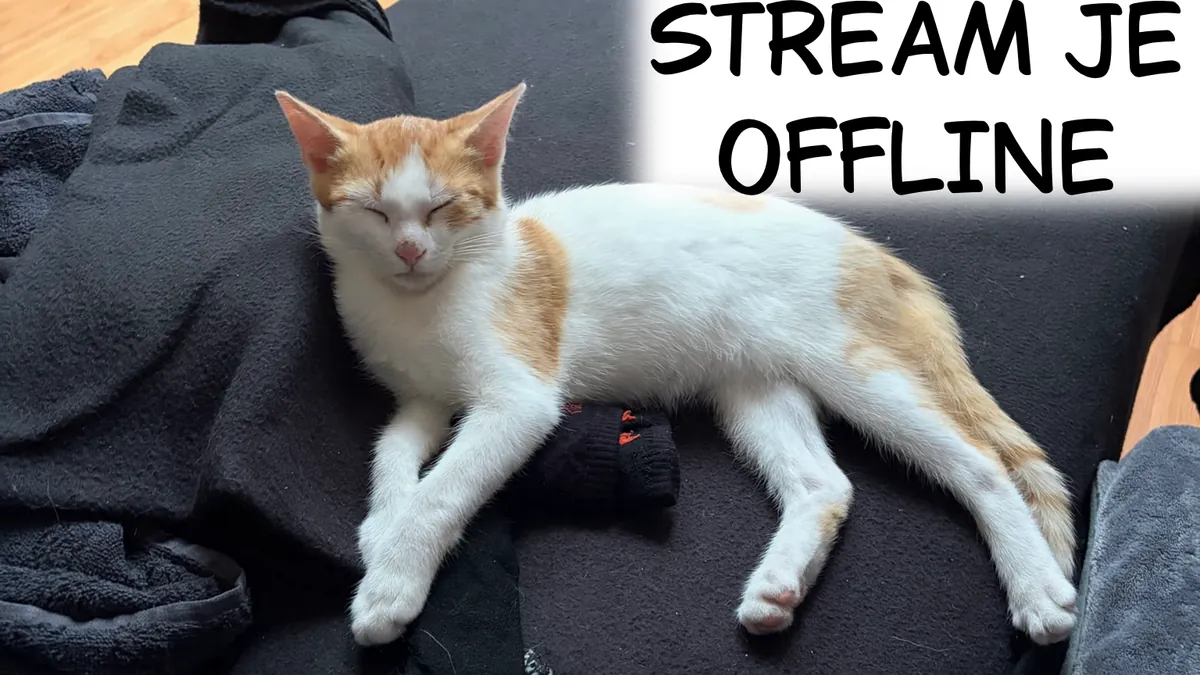SmollCharlie