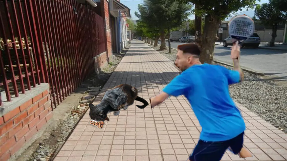 MASSHUCA