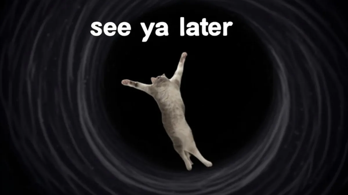 I_Cat_Hair_You