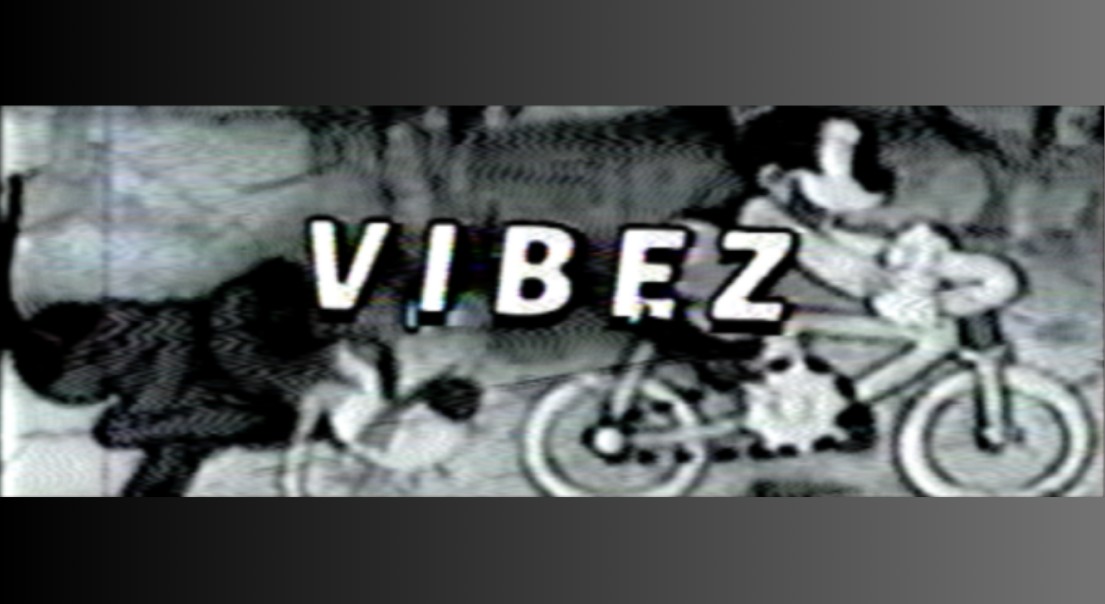 itslilvibez