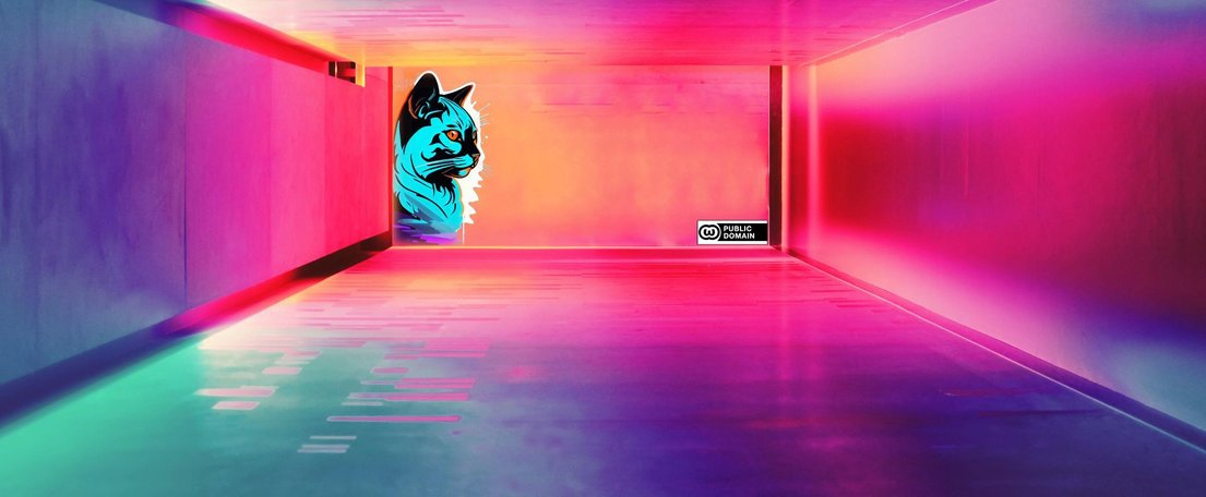 Dfalm_n_co