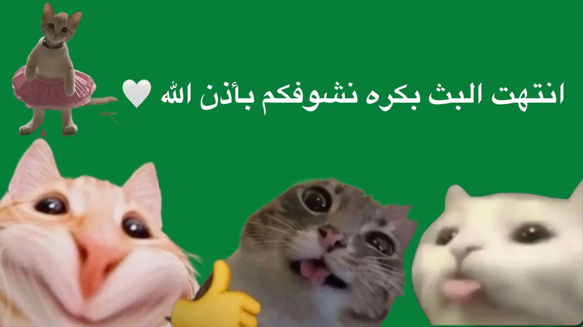 kgjjkglhted