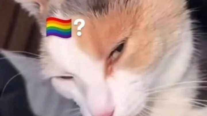 Danker_UwU