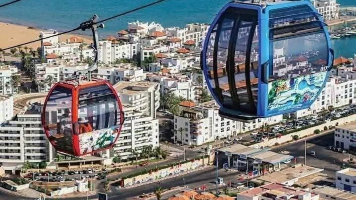zambaro