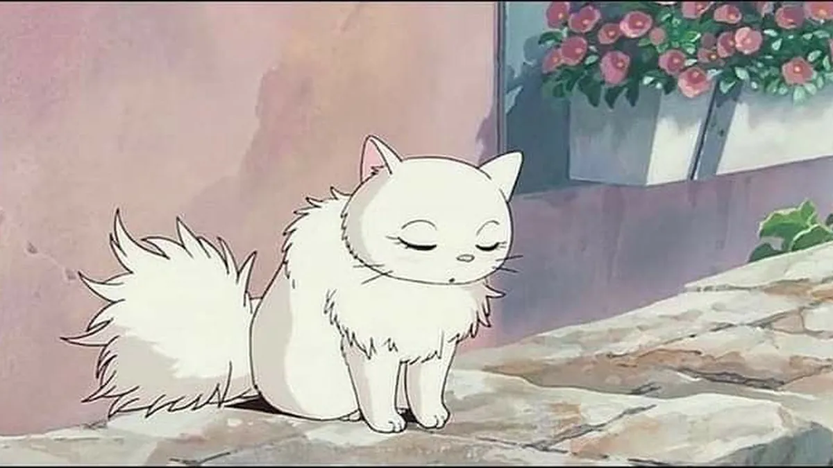 r_oda1
