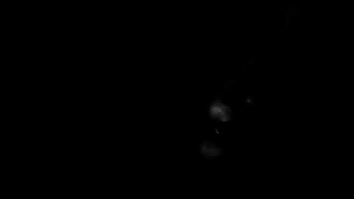 ptcsii