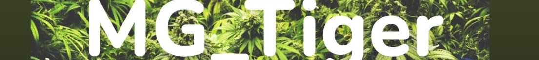 MG_Tiger
