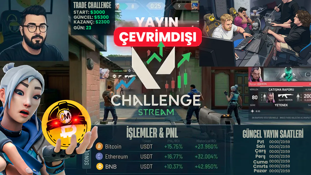 coinmuhendisim