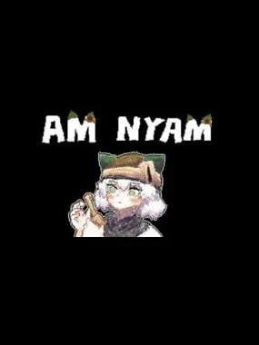 AMNYAM