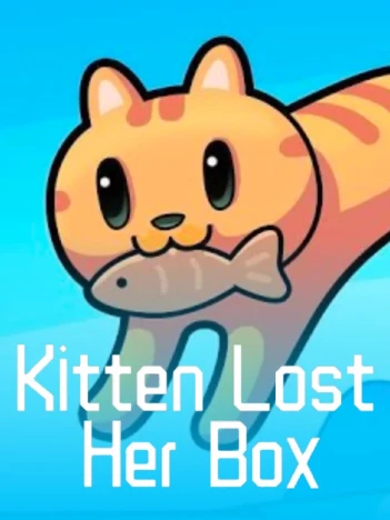 Kitten Lost Her Box