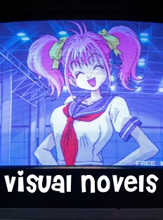 Visual novels