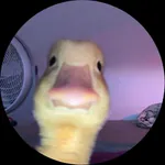 TryHardEazy Kick