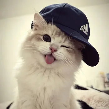 Nadia_KITTY