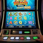 Casinomaxxwin Kick