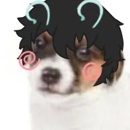 bokuutizz