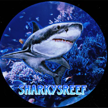 sharkysreef