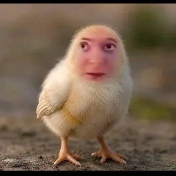 GNASH3D
