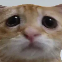 HuugeCat