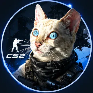 DreamPaw