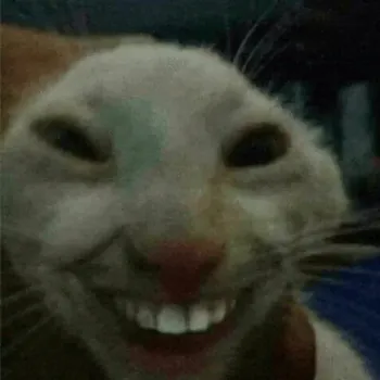 YindeeB