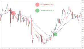COINXAUS