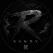 rynoxvl